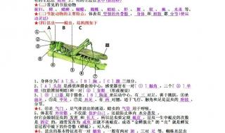 初中生物实验题技巧 初中生物试题及答案